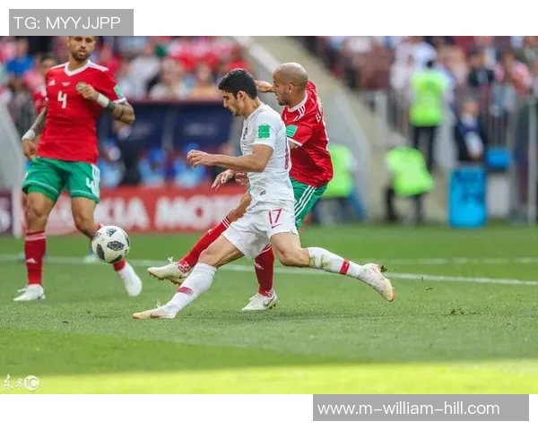 葡萄牙与芬兰足球对决分析:战术布局与球员表现全解析 葡萄牙与芬兰足球对决分析:战术布局与球员表现全解析